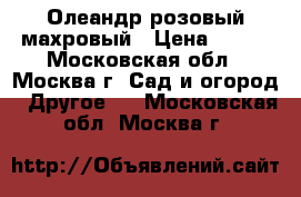 Олеандр розовый махровый › Цена ­ 500 - Московская обл., Москва г. Сад и огород » Другое   . Московская обл.,Москва г.